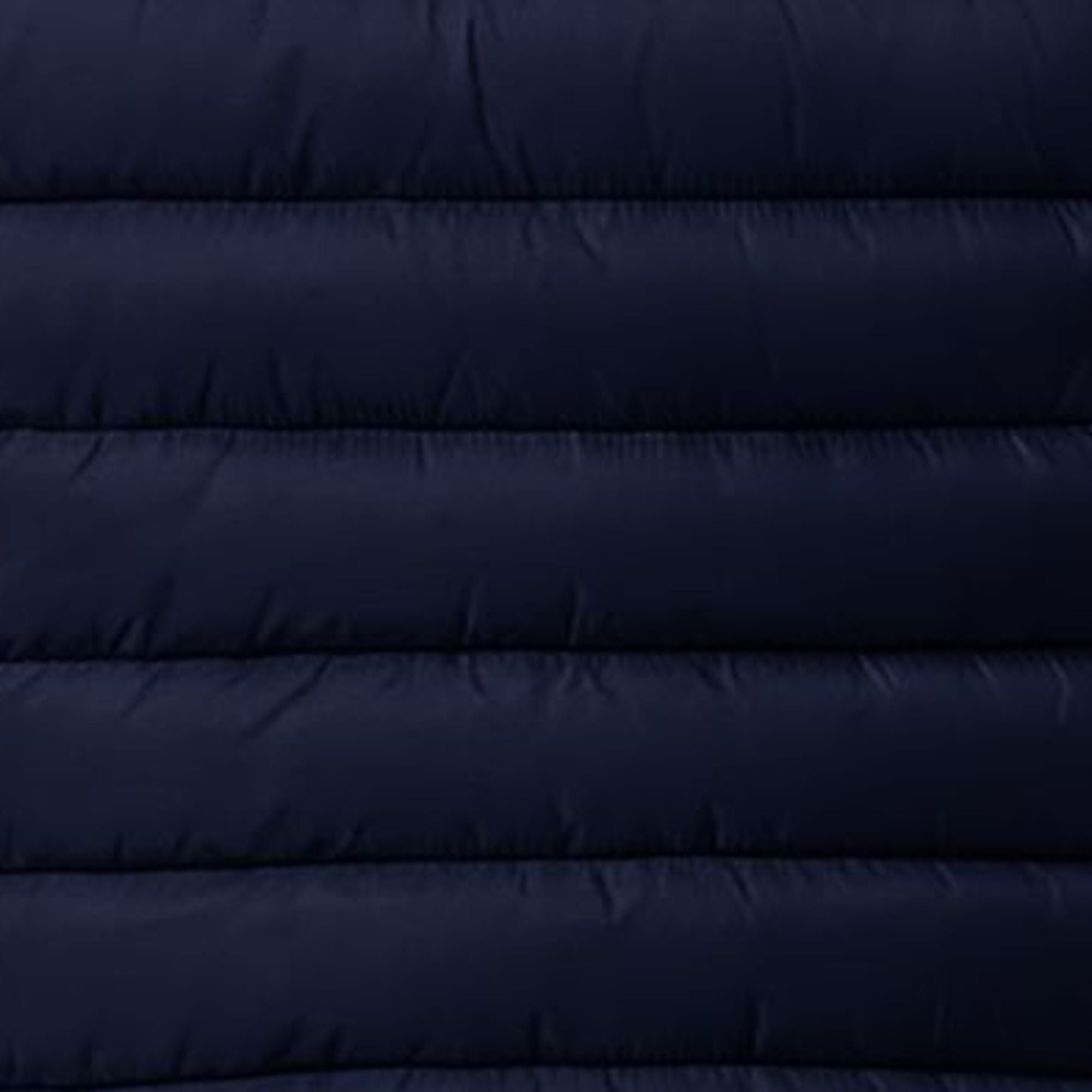 save-the-duck-carly-piumino-femme-bleu-navy image 6