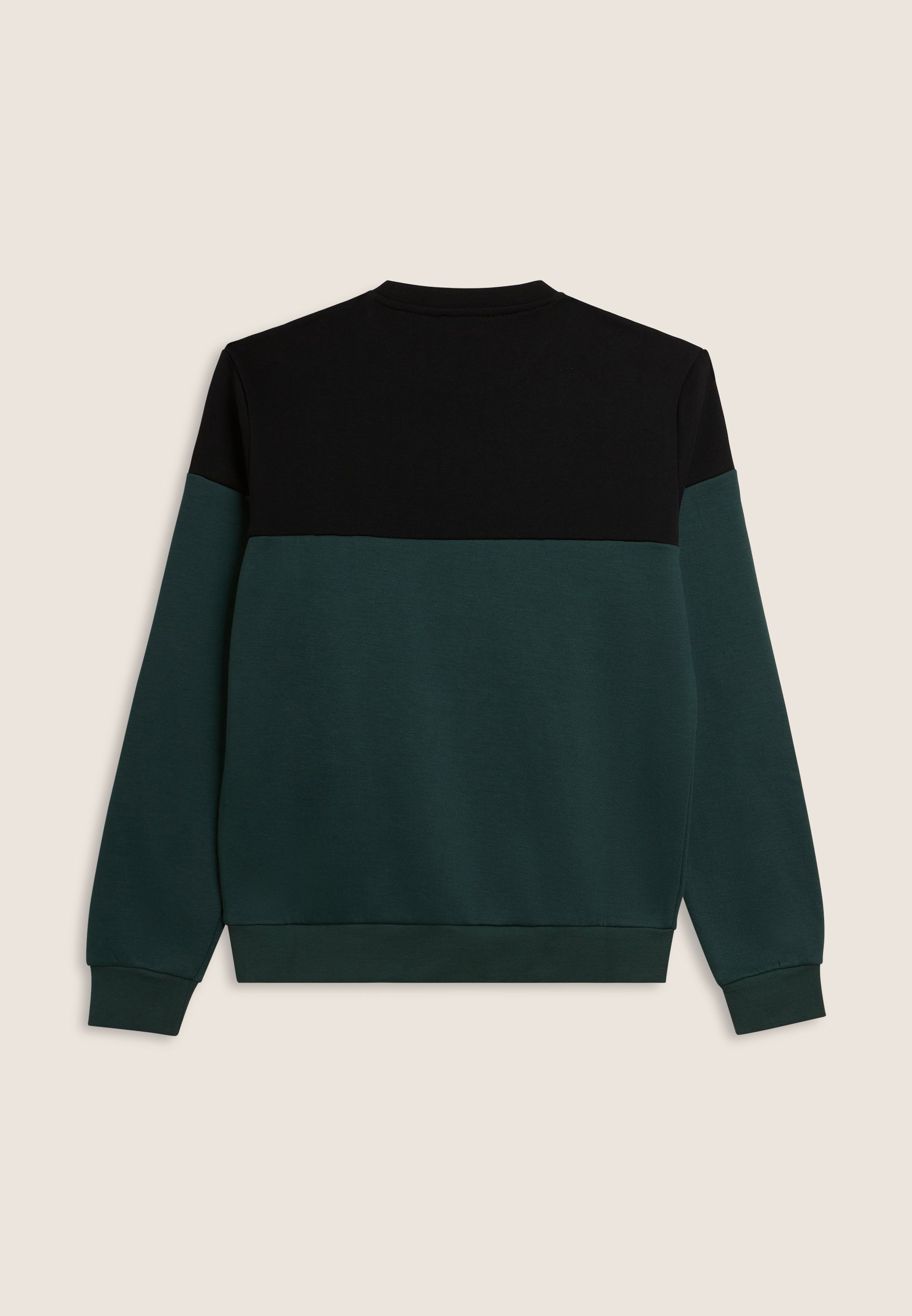 freddy-sweat-col-rond-colour-block-paules-contrast-es-homme image 5