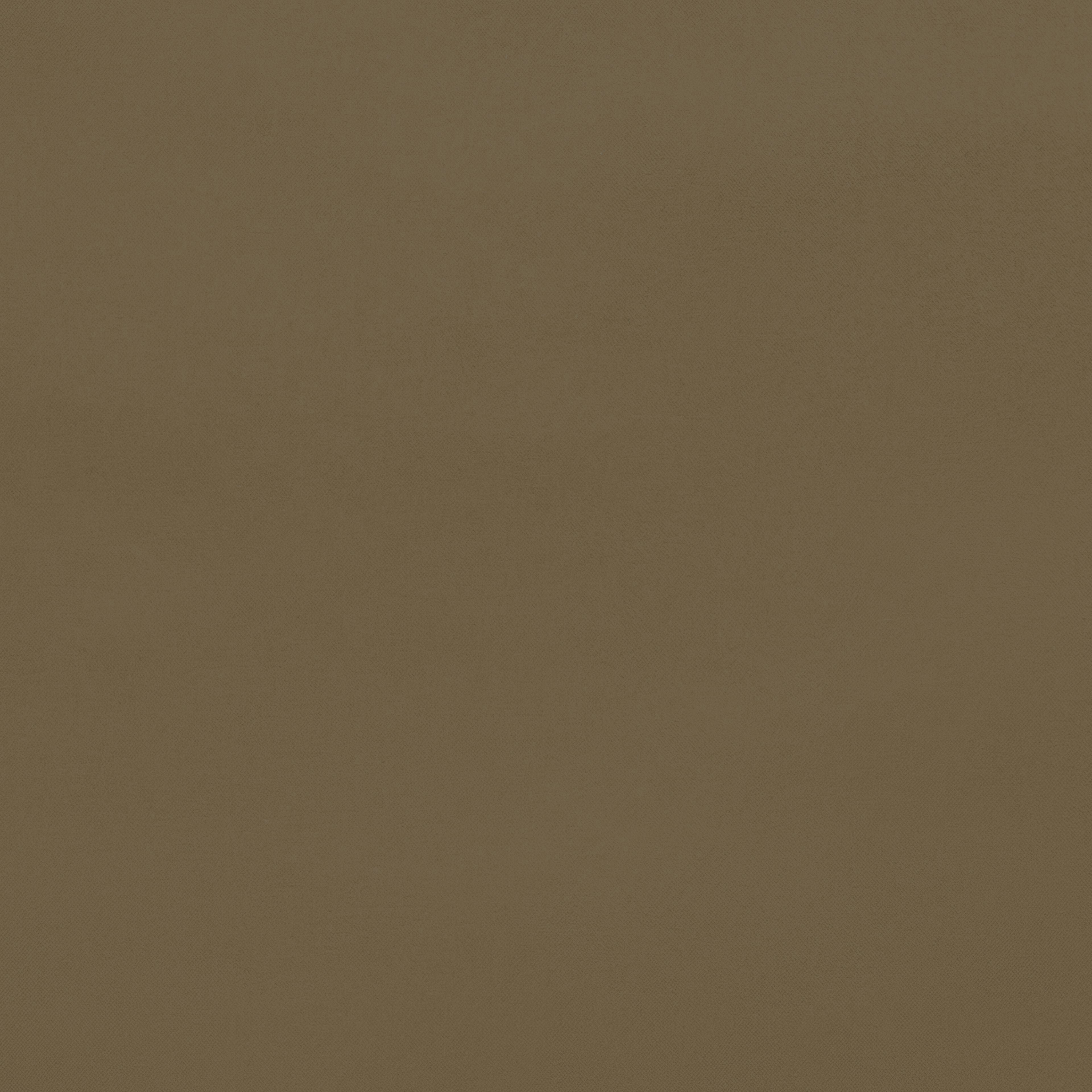 save-the-duck-remy-pochette-unisexe-marron-khaki image 3