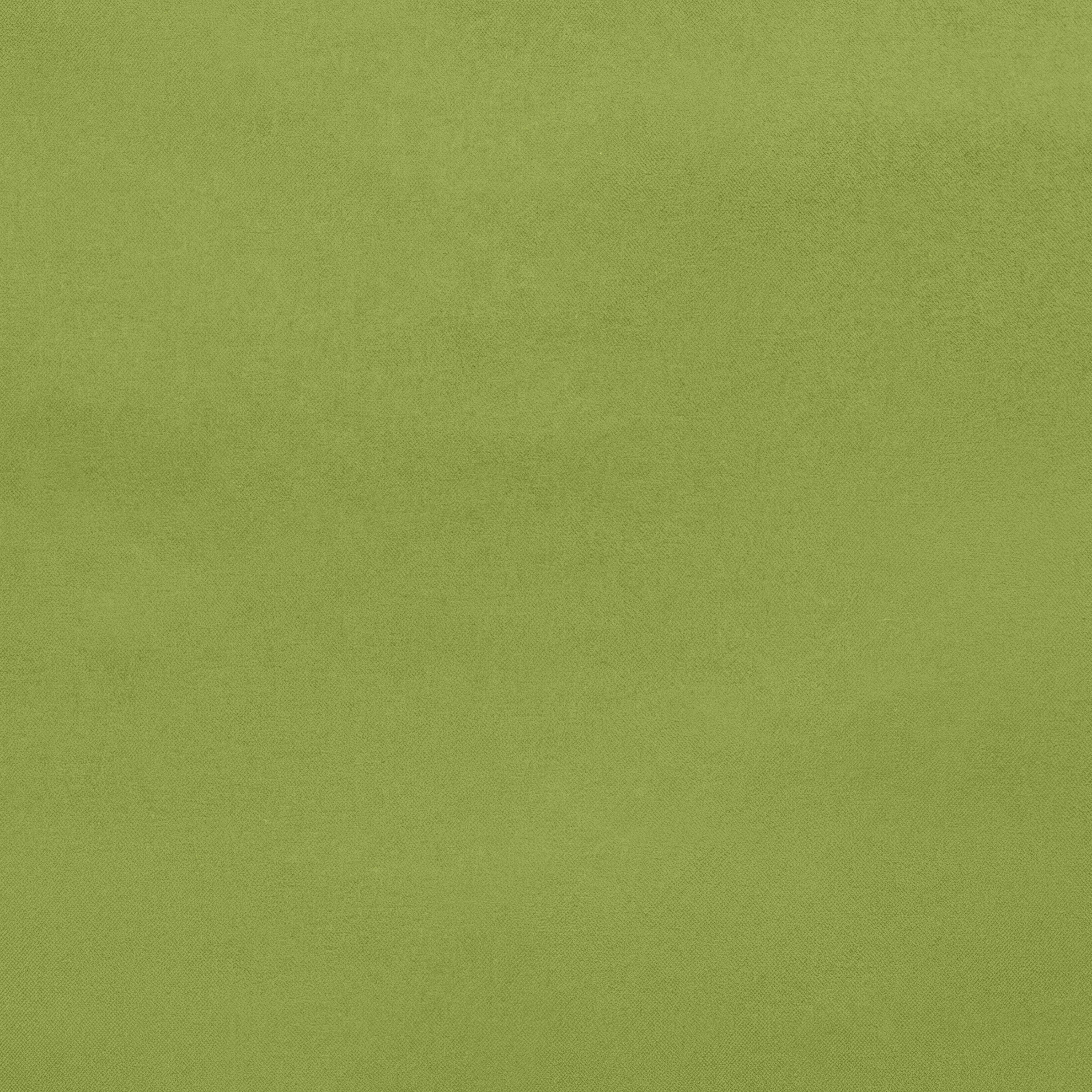 save-the-duck-remy-pochette-unisexe-vert-lime-dragonne image 3