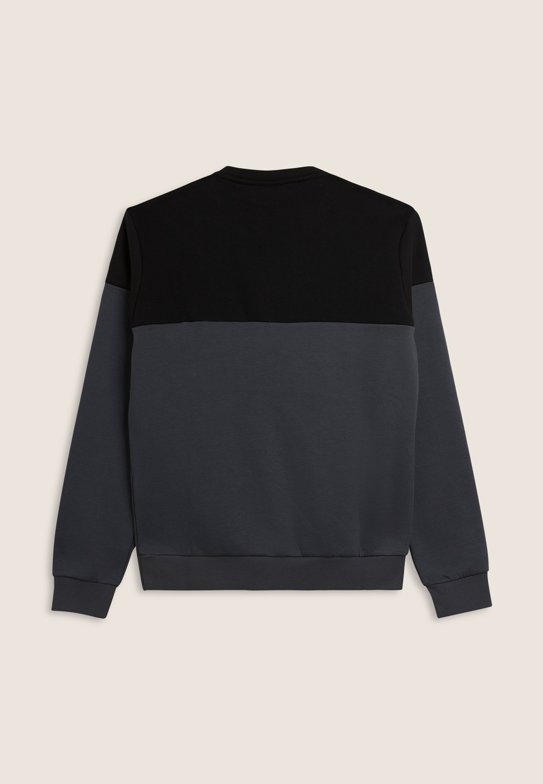 freddy-sweat-col-rond-colour-block-paules-contrast-es-homme image 2